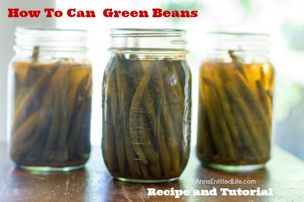 Canned Green Beans Recipe. A super easy home canning recipe with step by step tutorial photographs on how to can green beans. In under an hour you can preserve your harvest of green beans to enjoy year-round.