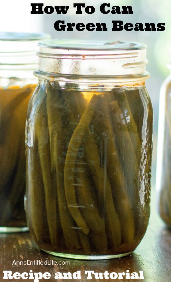 Canned Green Beans Recipe. A super easy home canning recipe with step by step tutorial photographs on how to can green beans. In under an hour you can preserve your harvest of green beans to enjoy year-round.