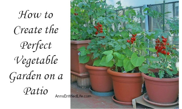 https://www.annsentitledlife.com/wp-content/uploads/2016/06/how-to-create-the-perfect-vegetable-garden-on-a-patio-horizontal.jpg