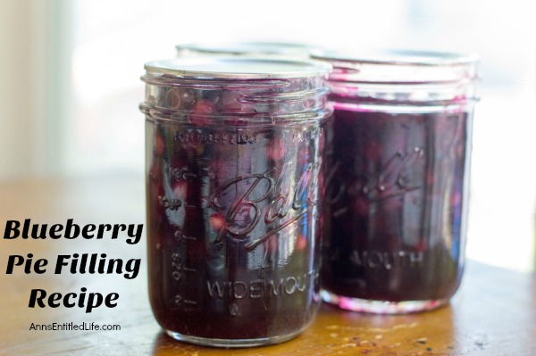 Blueberry Pie Filling Recipe. Make your own blueberry pie filling with this tasty, easy to make blueberry pie filling recipe. These simple step by step instructions will make your blueberry canning a breeze! Make blueberries pies, blueberry crumbles, bars and more using a delicious homemade blueberry pie filling that you made yourself.