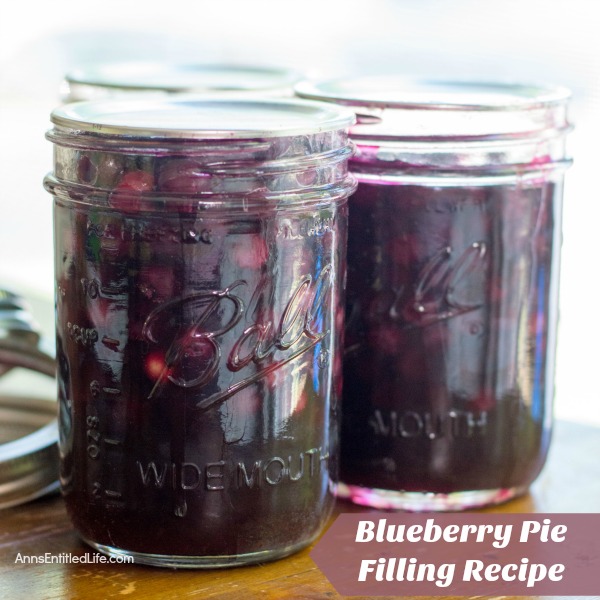 Blueberry Pie Filling Recipe. Make your own blueberry pie filling with this tasty, easy to make blueberry pie filling recipe. These simple step by step instructions will make your blueberry canning a breeze! Make blueberries pies, blueberry crumbles, bars and more using a delicious homemade blueberry pie filling that you made yourself.
