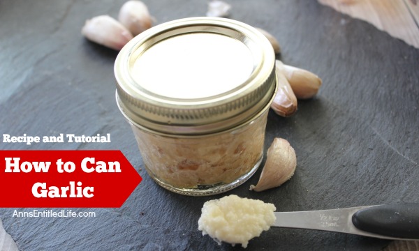 Canned Garlic Recipe. Make your own, minced, canned garlic! Have garlic on hand at all times to add to your delicious recipes by canning your own. In just over an hour you can have enough canned garlic to last a year with this easy canned garlic recipe.