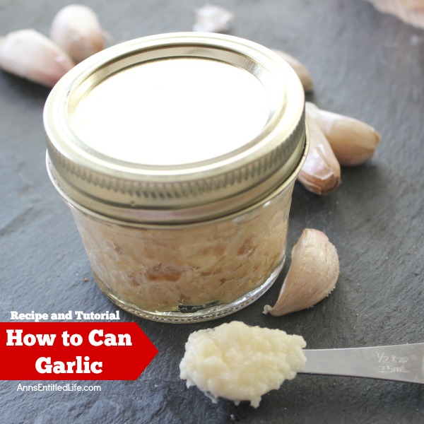 Canned Garlic Recipe. Make your own, minced, canned garlic! Have garlic on hand at all times to add to your delicious recipes by canning your own. In just over an hour you can have enough canned garlic to last a year with this easy canned garlic recipe.