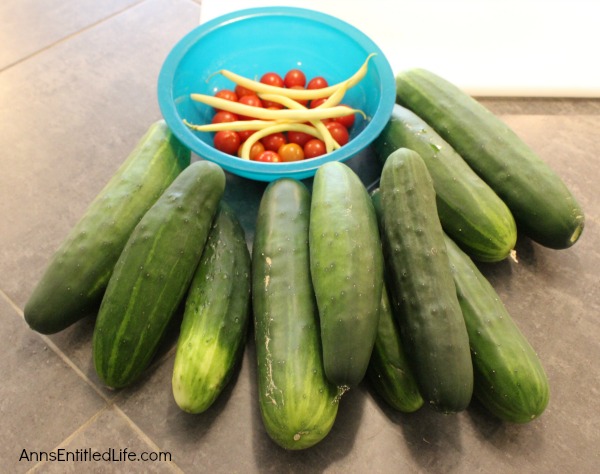 Invasion of the Cucumbers. It is time for a mid-summer gardening update!