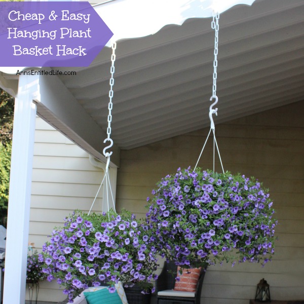 Cheap and Easy Hanging Plant Basket Hack. This unbelievably easy, inexpensive, hanging plant basket hack will change the way you look at your outdoor plants and decor. Easy watering access and the ability to stagger your plants for optimal visual enjoyment are just two of the benefits. This no rust, no fuss hack is so simple, you will wonder why you had not tried it before!