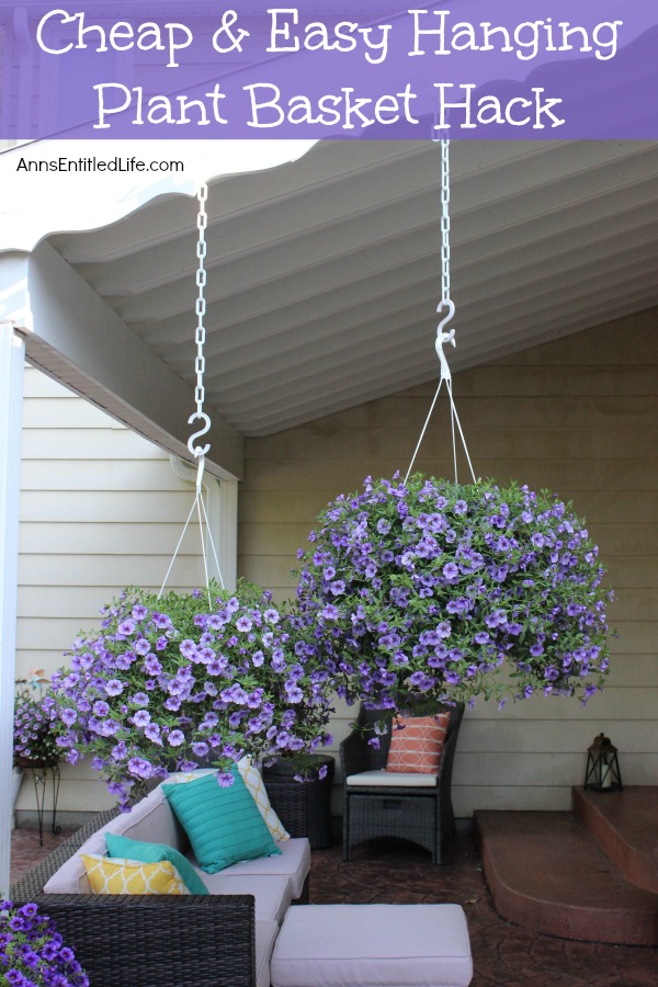Backyard patio setting with two hanging baskets at the forefront