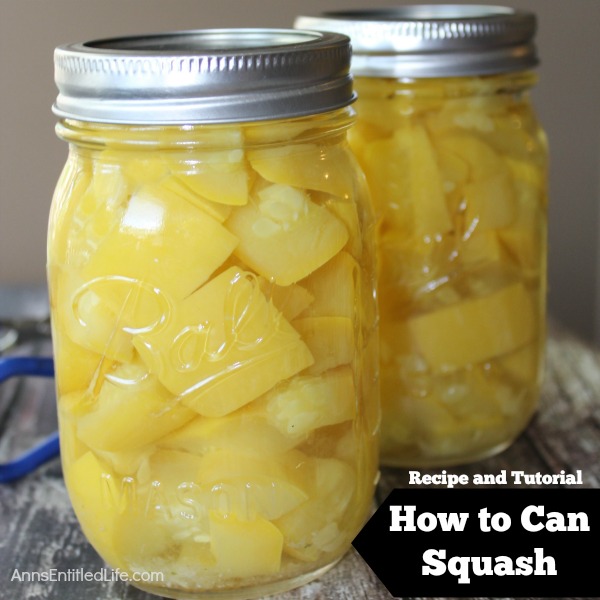 Canned Squash Recipe. Fresh summer squash in season is delicious and makes a wonderful side dish but cannot always be had at the grocery store or farmers market. Canning is the perfect way to preserve that delicious summer flavor all year round and it is really simple to stock your pantry with canned squash. Make this canned squash recipe to enjoy summer squash all year long!