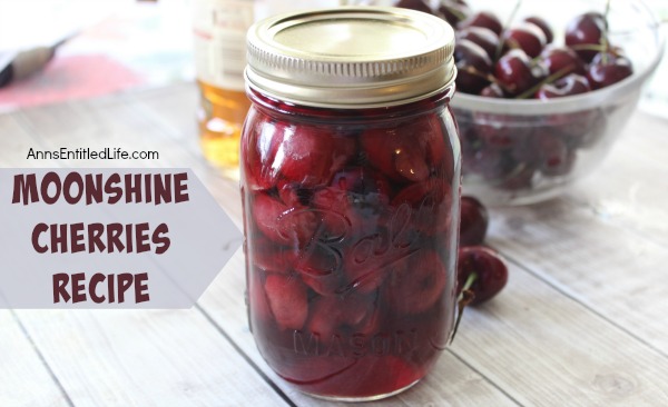 Moonshine Cherries Recipe. Moonshine cherries, also called cherry bombs and spiked cherries are a great adult snack, or wonderful for dressing up a cocktail or dessert. This easy recipe can be stored in your refrigerator, or canned for shelf stable storage. These moonshine cherries also make wonderful gifts. Make some moonshine cherries today. Your taste-buds will thank you!