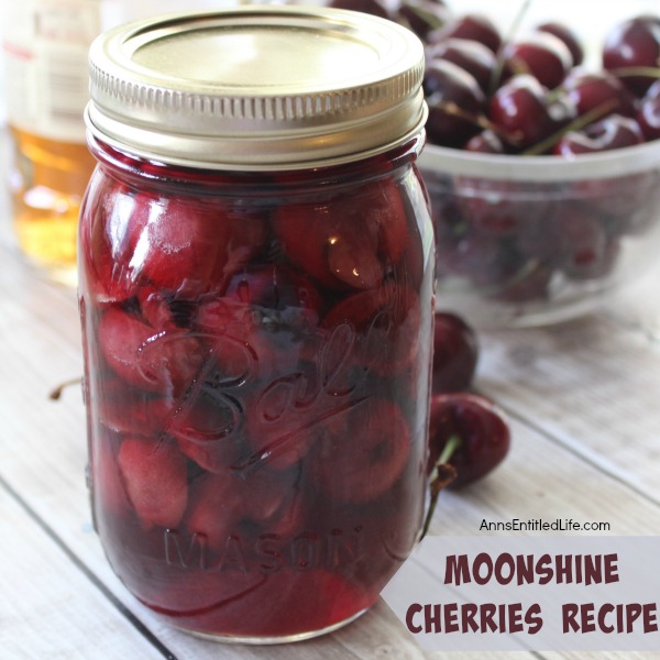 Moonshine Cherries Recipe. Moonshine cherries, also called cherry bombs and spiked cherries are a great adult snack, or wonderful for dressing up a cocktail or dessert. This easy recipe can be stored in your refrigerator, or canned for shelf stable storage. These moonshine cherries also make wonderful gifts. Make some moonshine cherries today. Your taste-buds will thank you!