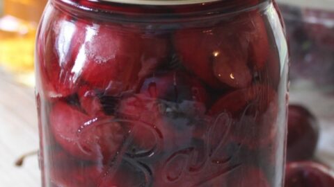 Moonshine Cherries Recipe. Moonshine cherries, also called cherry bombs and spiked cherries are a great adult snack, or wonderful for dressing up a cocktail or dessert. This easy recipe can be stored in your refrigerator, or canned for shelf stable storage. These moonshine cherries also make wonderful gifts. Make some moonshine cherries today. Your taste-buds will thank you!
