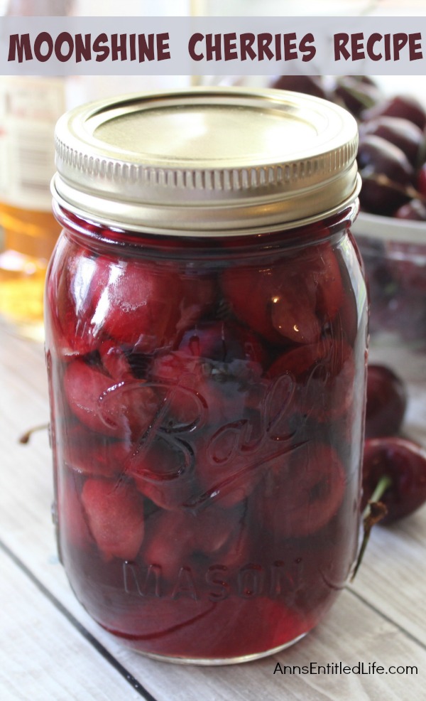 Moonshine Cherries Recipe. Moonshine cherries, also called cherry bombs and spiked cherries are a great adult snack, or wonderful for dressing up a cocktail or dessert. This easy recipe can be stored in your refrigerator, or canned for shelf stable storage. These moonshine cherries also make wonderful gifts. Make some moonshine cherries today. Your taste-buds will thank you!