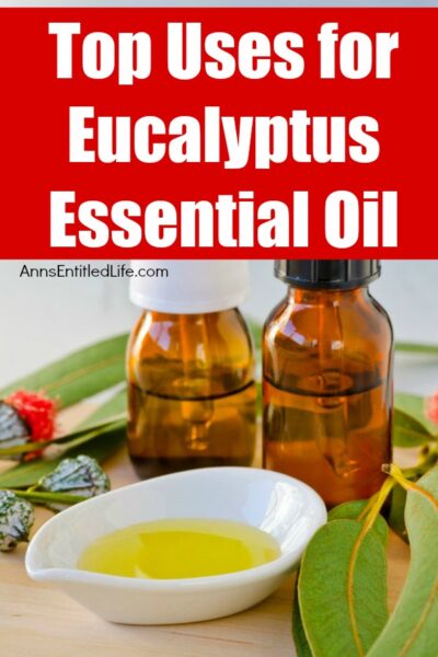 Top Uses for Eucalyptus Essential Oil