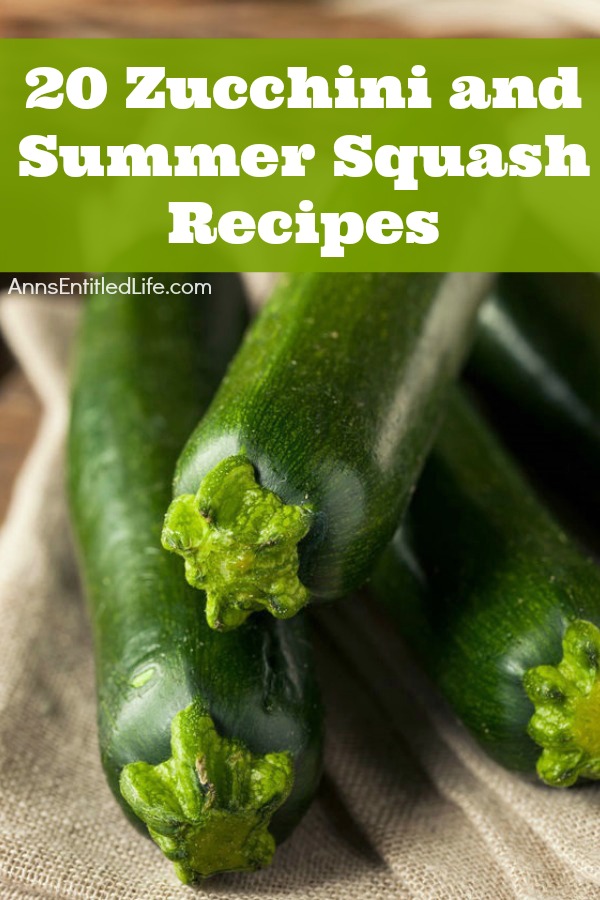 20 Zucchini and Summer Squash Recipes. Wondering what to do with all that zucchini and summer squash? Zucchini and Summer Squash are certainly abundant in backyard gardens, farmers markets, and grocery stores this time of year.  Here are 20 Zucchini and Summer Squash Recipes your family will enjoy, from breads to waffles to soups and chips; there is something on this list for everyone!
