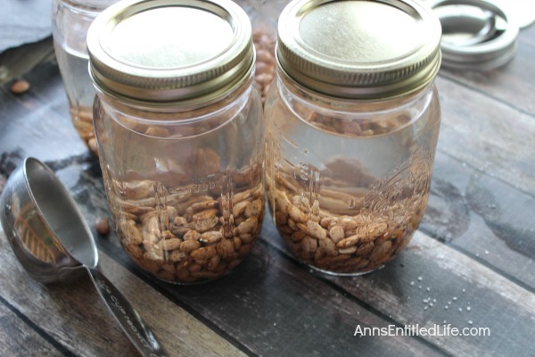 Canned Pinto Beans Recipe. Beans are nutritious, delicious, inexpensive and go with a large variety of meats and vegetables or on their own; they are the perfect pantry staple to keep on hand at all times. Make your own Canned Pinto Beans to have on hand as a side dish, or to add to your favorite recipe.
