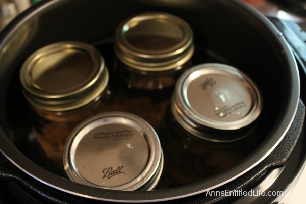 Canned Pinto Beans Recipe. Beans are nutritious, delicious, inexpensive and go with a large variety of meats and vegetables or on their own; they are the perfect pantry staple to keep on hand at all times. Make your own Canned Pinto Beans to have on hand as a side dish, or to add to your favorite recipe.