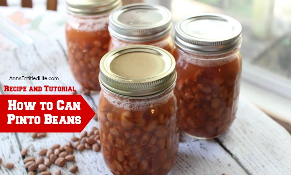 Canned Pinto Beans Recipe. Beans are nutritious, delicious, inexpensive and go with a large variety of meats and vegetables or on their own; they are the perfect pantry staple to keep on hand at all times. Make your own Canned Pinto Beans to have on hand as a side dish, or to add to your favorite recipe.