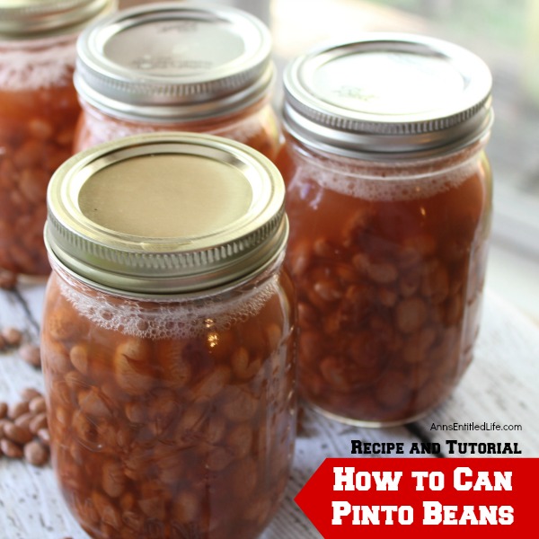 Canned Pinto Beans Recipe. Beans are nutritious, delicious, inexpensive and go with a large variety of meats and vegetables or on their own; they are the perfect pantry staple to keep on hand at all times. Make your own Canned Pinto Beans to have on hand as a side dish, or to add to your favorite recipe.