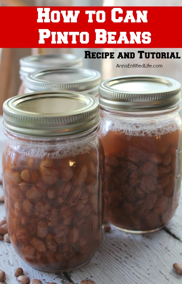 Canned Pinto Beans Recipe