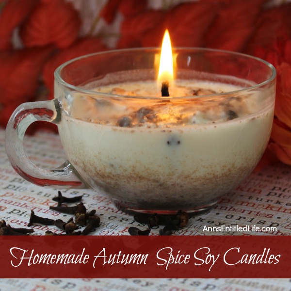 Homemade Autumn Spice Soy Candles. Easily and inexpensively make your own Homemade Autumn Spice Soy Candles! These are great for gifts or to scent your own home during the fall and holiday season. These Homemade Autumn Spice Soy Candles are a fun DIY project that yields great results!