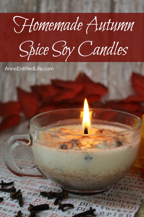 A lit homemade autumn spice candle in a clear teacup on a words sheet. There is red floral in the background.