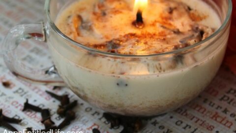 Homemade Autumn Spice Soy Candles