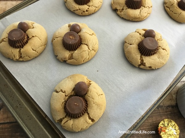 Spider Cookies Recipe. These fun and spooky Spider Cookies are delicious Halloween treats all your little ghosts and goblins will enjoy. Easy to make, these Spider Cookies will be a big hit at your next Halloween party, packed in a school lunchbox, or as an afternoon treat.