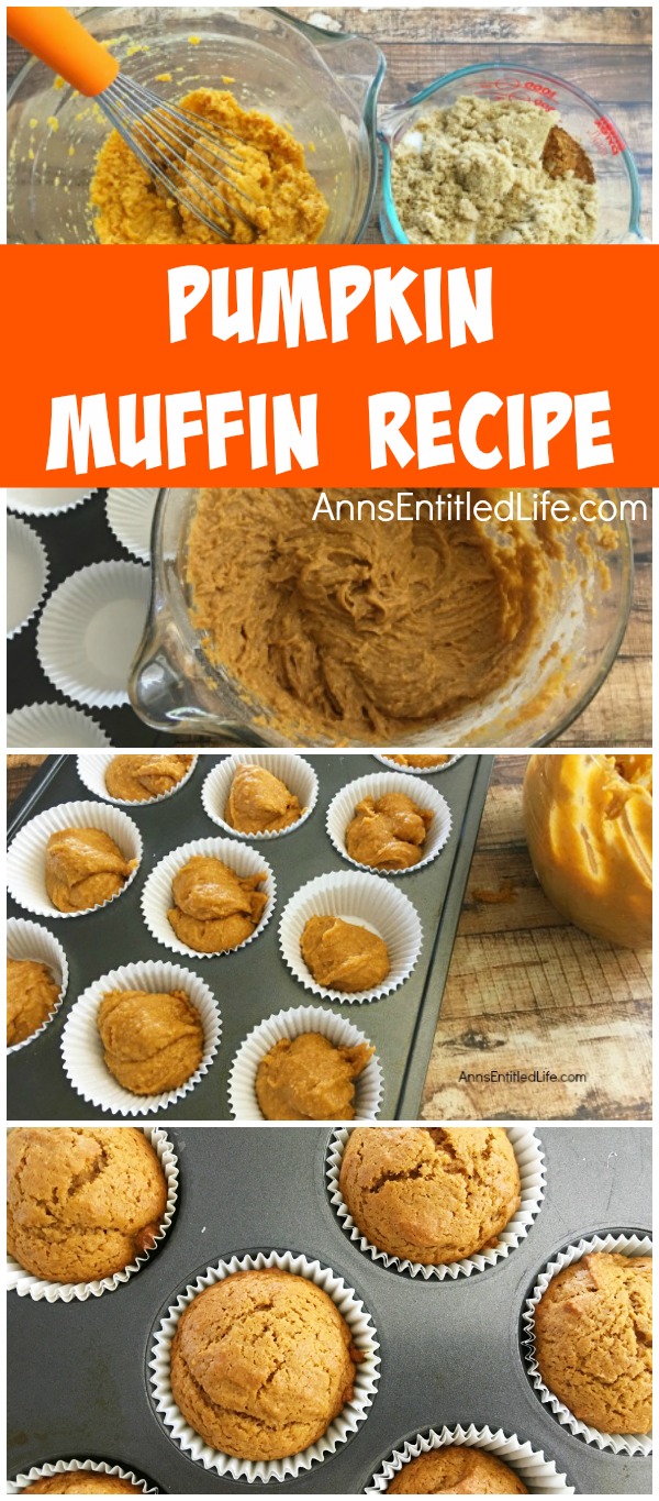 Pumpkin Muffins Recipe. These easy to make Pumpkin Muffins are so good! A soft, spicy, delicious pumpkin muffin recipe that will have your family asking for more. Enjoy these pumpkin muffins for breakfast, lunch, dinner or as a snack. Yum!