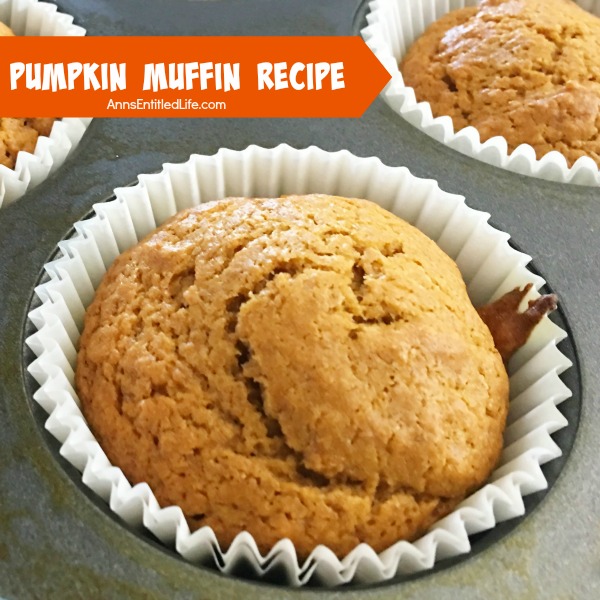 Pumpkin Muffins Recipe. These easy to make Pumpkin Muffins are so good! A soft, spicy, delicious pumpkin muffin recipe that will have your family asking for more. Enjoy these pumpkin muffins for breakfast, lunch, dinner or as a snack. Yum!