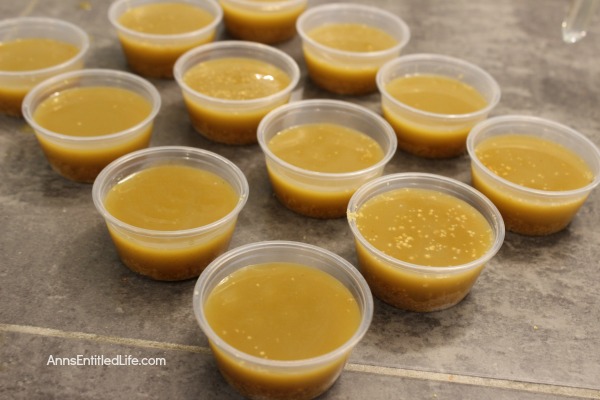 Pumpkin Pie Jello Shots Recipe. If you like Pumpkin Pie you will love these creative Pumpkin Pie Jello Shots. Creamy and delicious, these fun Jello shots are perfect for holiday parties and get-togethers!