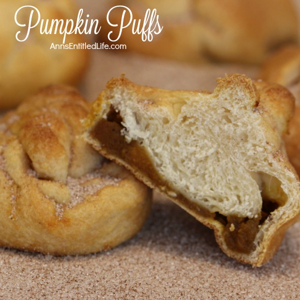 Pumpkin Puffs Recipe. These easy to make Pumpkin Puffs are soooo good! A wonderful side dish for lunch or dinner, a tasty dessert or quick breakfast, this Pumpkin Puffs Recipe is a quick seasonal treat your whole family will enjoy.