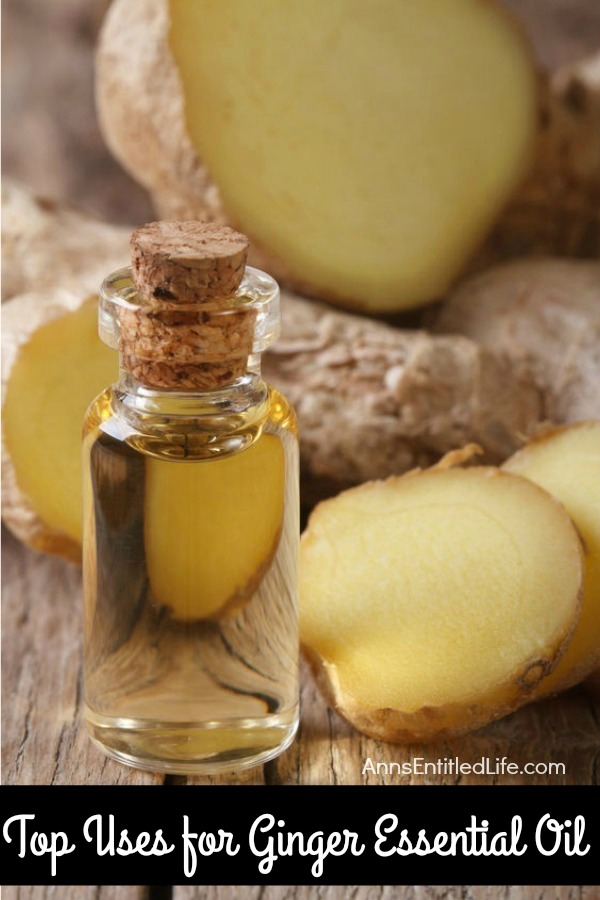 Top Uses for Ginger Essential Oil. Ginger essential oil can be best described as warming and calming. Ginger essential oil has a wonderful, spicy scent. Ginger has been used as a medicinal herb for centuries. The top properties of ginger deal with help for motion sickness, digestive, nausea and indigestion.