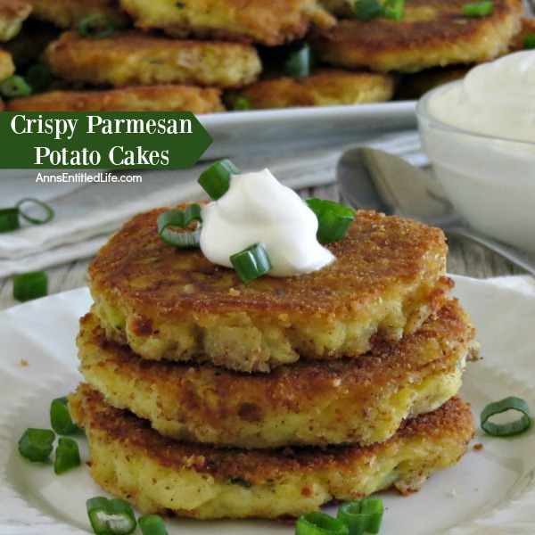 Crispy Parmesan Potato Cakes Recipe. Have leftover cooked potatoes? Try this easy, tasty leftover mashed potato recipe! These Crispy Parmesan Potato Cakes are delicious for breakfast, lunch or dinner and make good use of leftover mashed potatoes. Your family will love them.