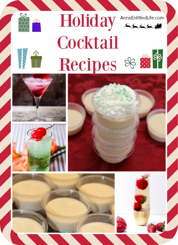 Holiday Cocktail Recipes. From frou-frou drinks to classic cocktails, from Jello shots to cocktails that really pack a wallop, there is an adult libation on this list for nearly any holiday occasion, big or small!