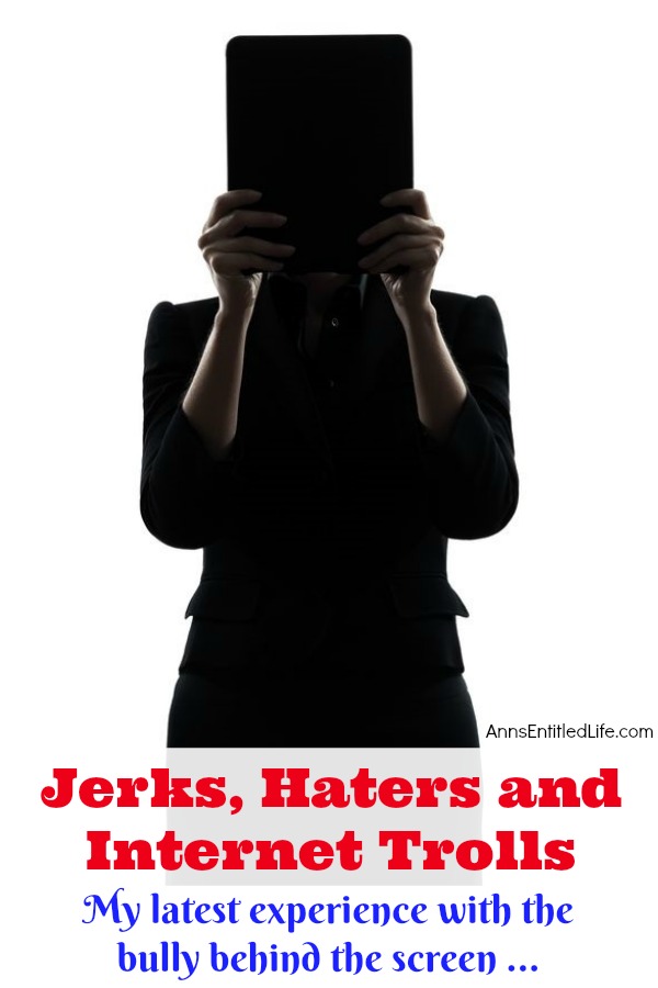 Jerks, Haters and Internet Trolls. This is my latest experience with a bully hiding behind a computer screen. What is it that makes people think they can say/do things online that they would never do face-to-face to another person? What makes people so uncivil when they are hiding behind a computer screen? Do people behave badly online simply because there are fewer repercussions to being rude, crude and downright mean?