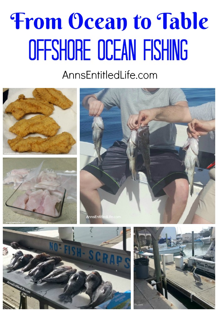 Offshore Ocean Fishing - From Ocean to Table. A day of Atlantic Ocean offshore fishing on a charter boat in the St Augustine, Florida, Jacksonville, Florida area. The catch goes from ocean, to our dining room table!