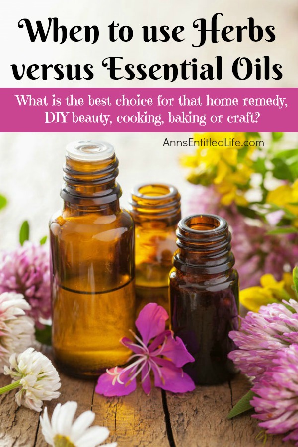 When to use Herbs versus Essential Oils. The differences between herbs and essential oils are explained, as well as when an essential oil or a herb is a more appropriate use for a project, craft, DIY beauty or in cooking and baking.