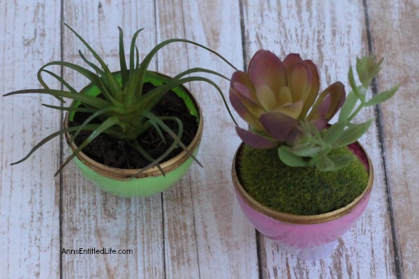 How to Make Easter Egg Planters. Are you looking for a cool succulent planters craft that can be made by adults and children alike? This easy egg planter idea is a fun Easter kids crafts (two variations), as well as a wonderful, simple to make adult Easter craft.  So use up those old plastic eggs and make some fun egg shaped planters!