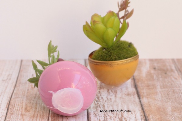 How to Make Easter Egg Planters. Are you looking for a cool succulent planters craft that can be made by adults and children alike? This easy egg planter idea is a fun Easter kids crafts (two variations), as well as a wonderful, simple to make adult Easter craft.  So use up those old plastic eggs and make some fun egg shaped planters!