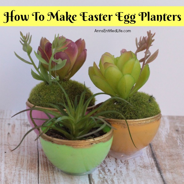 How to Make Easter Egg Planters. Are you looking for a cool succulent planters craft that can be made by adults and children alike? This easy egg planter idea is a fun Easter kids crafts (two variations), as well as a wonderful, simple to make adult Easter craft.  So use up those old plastic eggs and make some fun egg shaped planters!