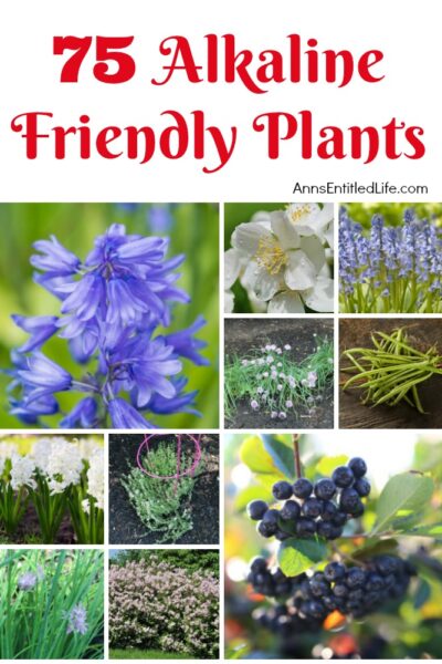 75 Alkaline Friendly Plants