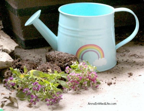 How to Make a Watering Can Planter. A watering can planter is such an adorable way to keep pretty flowers and fresh herbs nearby at all times. Make a collection of different watering cans for some added whimsy!