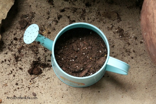 How to Make a Watering Can Planter. A watering can planter is such an adorable way to keep pretty flowers and fresh herbs nearby at all times. Make a collection of different watering cans for some added whimsy!