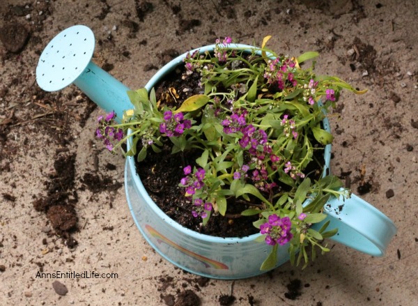 How to Make a Watering Can Planter. A watering can planter is such an adorable way to keep pretty flowers and fresh herbs nearby at all times. Make a collection of different watering cans for some added whimsy!