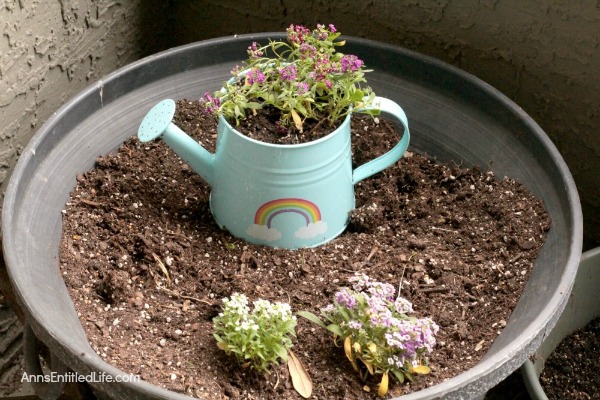 How to Make a Watering Can Planter. A watering can planter is such an adorable way to keep pretty flowers and fresh herbs nearby at all times. Make a collection of different watering cans for some added whimsy!