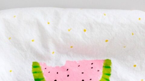 Watermelon Painted Napkins Craft