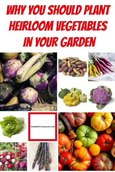 Why You Should Plant Heirloom Vegetables in Your Garden