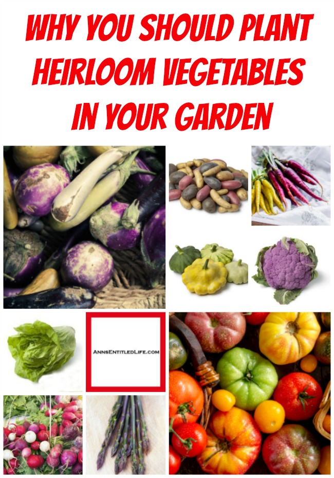 Why You Should Plant Heirloom Vegetables In Your Garden