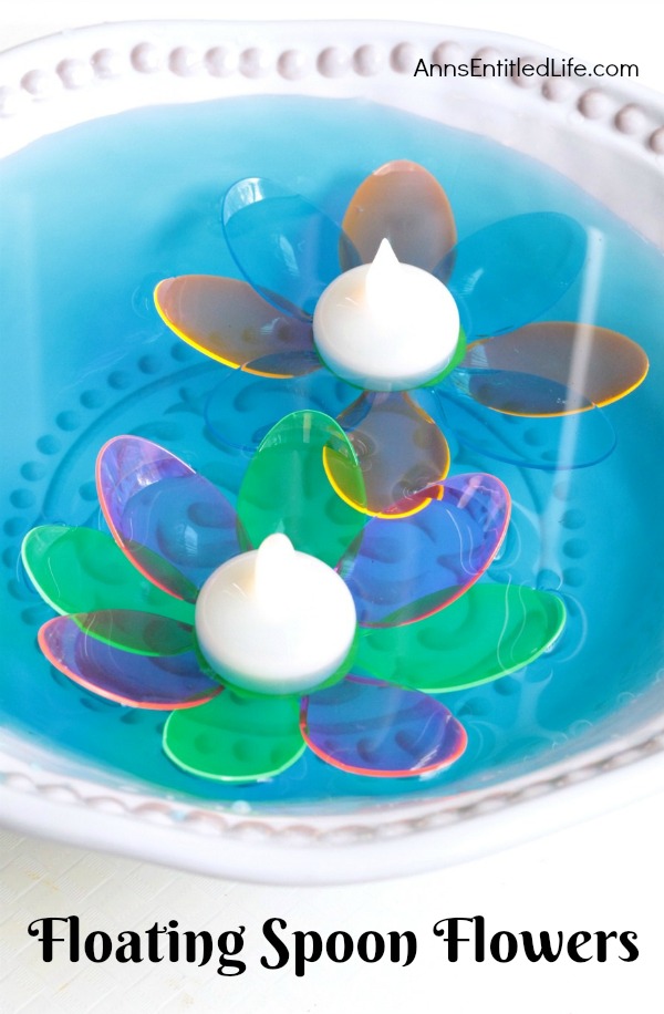 two multi-colored spoon flowers floating in water