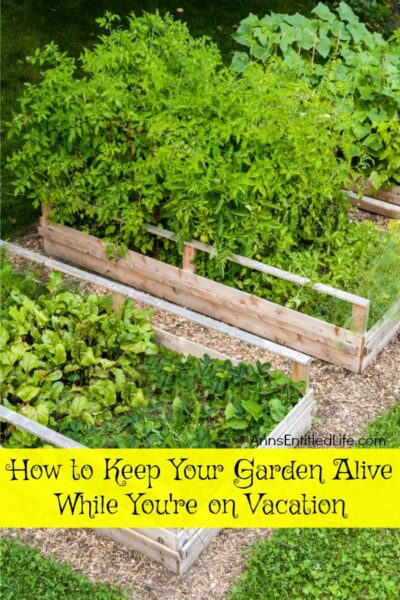 How to Keep Your Garden Alive While You Are on Vacation. Tips on how to prepare your garden before you leave for vacation, and what to do when you are away from the house for an extended period of time, so your plants are alive and thriving when you return home.