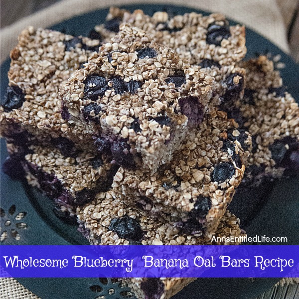 Wholesome Blueberry Banana Oat Bars Recipe. Try this easy to make Wholesome Blueberry Banana Oat Bars Recipe today! It makes for a great snack, on the go breakfast, or a delicious addition to a lunchbox meal.